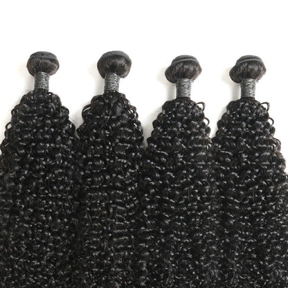 Brazilian Kinky Curly Hair 4 Bundles 100% Human Hair Extension Weaves - Seyna Hair