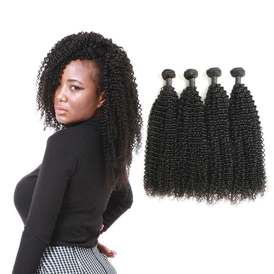 Brazilian Kinky Curly Hair 4 Bundles 100% Human Hair Extension Weaves - Seyna Hair